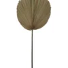 Dried Cut Fan Palm 90cm Artificial Stem Natural -Furniture Series Store 769023280 1 1 720x928