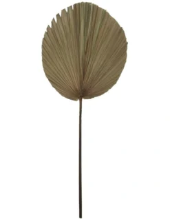 Dried Cut Fan Palm 90cm Artificial Stem Natural