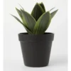 Agave Succulent Artificial Plant 19x19x22cm
