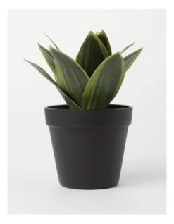 Agave Succulent Artificial Plant 19x19x22cm