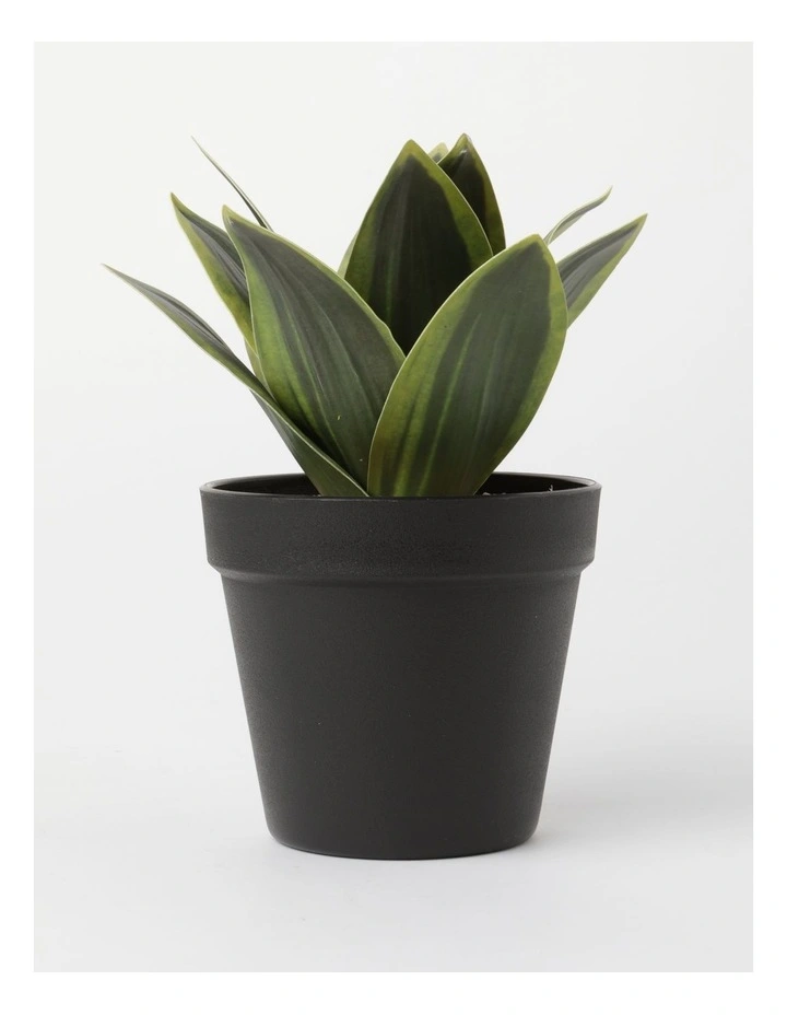 Agave Succulent Artificial Plant 19x19x22cm 3 Agave Succulent Artificial Plant 19x19x22cm