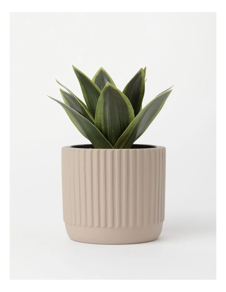 Agave Succulent Artificial Plant 19x19x22cm 4 Agave Succulent Artificial Plant 19x19x22cm - Image 2