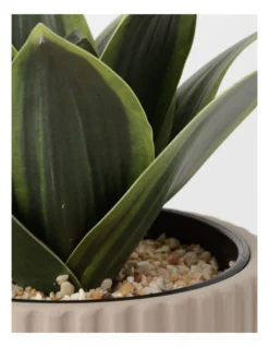 Agave Succulent Artificial Plant 19x19x22cm 7 Agave Succulent Artificial Plant 19x19x22cm -Furniture Series Store 865791550 3 720x928