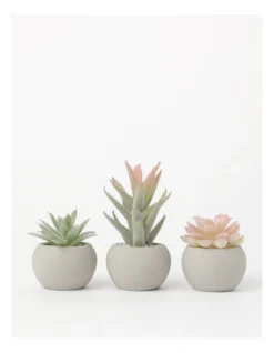 3 Pack Of Artificial Mini Succulent Plants In Concrete Pot 9cm In Multi -Furniture Series Store 877662550 3 720x928