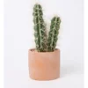 Artificial Cactus In Cement Pot 30x14x14cm In Green/Terracotta -Furniture Series Store 898193350 1 720x928