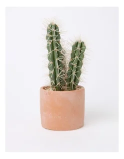Artificial Cactus In Cement Pot 30x14x14cm In Green/Terracotta