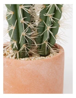 Artificial Cactus In Cement Pot 30x14x14cm In Green/Terracotta -Furniture Series Store 898193350 3 720x928