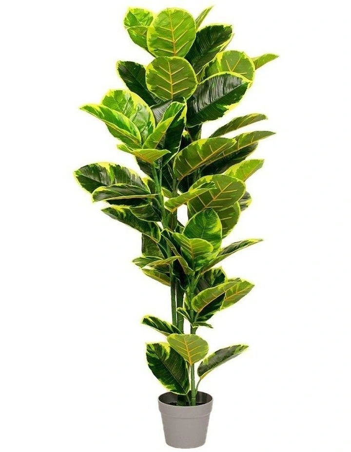 Rubber Fig Artificial Plant 120cm 3 Rubber Fig Artificial Plant 120cm