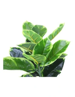 Rubber Fig Artificial Plant 120cm 8 Rubber Fig Artificial Plant 120cm -Furniture Series Store 932279950 3 720x928