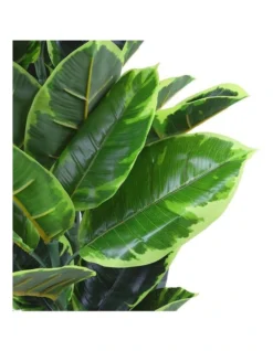 Rubber Fig Artificial Plant 120cm 9 Rubber Fig Artificial Plant 120cm -Furniture Series Store 932279950 4 720x928