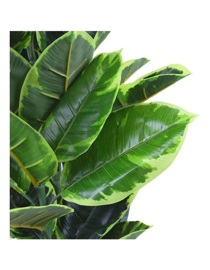Rubber Fig Artificial Plant 120cm 6 Rubber Fig Artificial Plant 120cm - Image 4