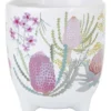 Maxwell & Williams Royal Botanic Gardens Native Blooms Plant Pot 10cm In Multi -Furniture Series Store 934402510 1 720x928