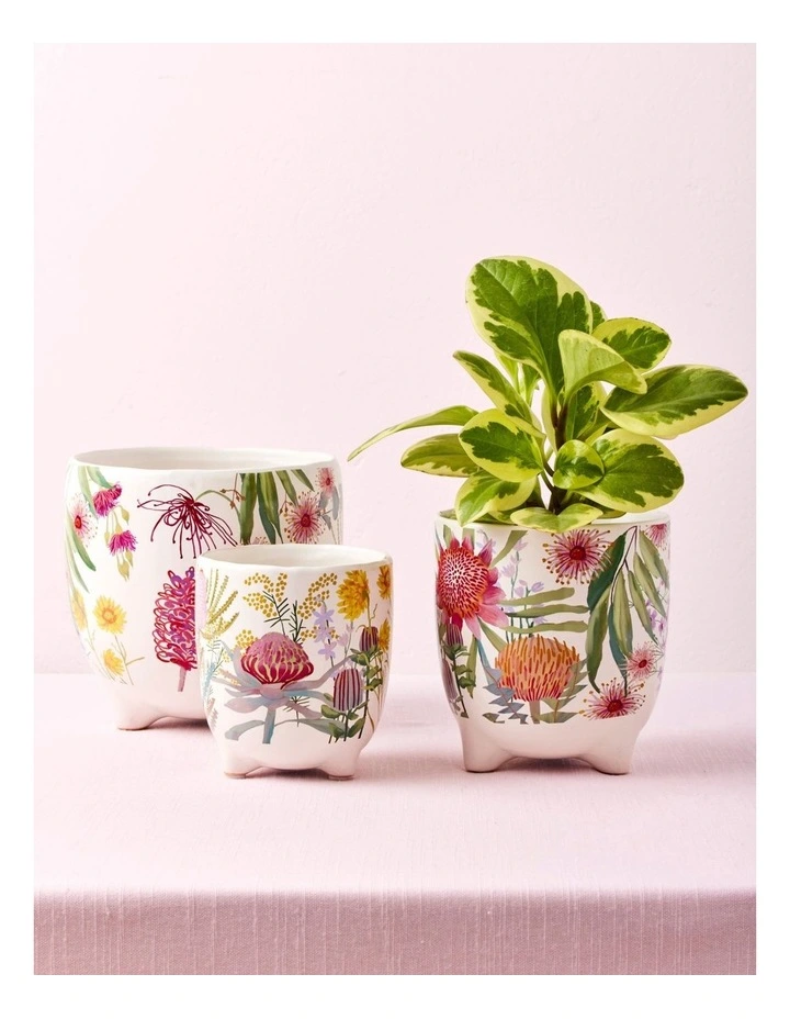 Maxwell & Williams Royal Botanic Gardens Native Blooms Plant Pot 10cm In Multi 5 Maxwell & Williams Royal Botanic Gardens Native Blooms Plant Pot 10cm In Multi - Image 3