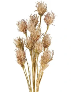 Wheat Flower Stem 75cm In Brown