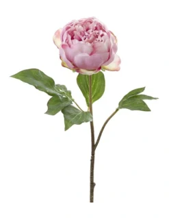 Peony Spray 60cm In Pink