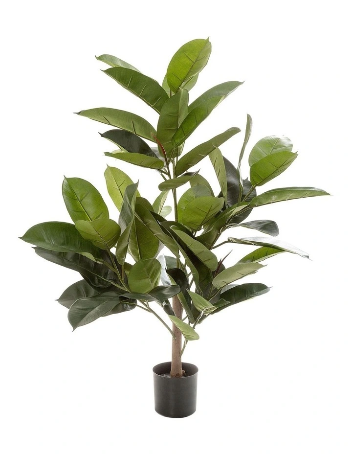 Rubber Plant Tree 96cm 3 Rubber Plant Tree 96cm