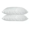 Luxury Quilted Bamboo Pillow Twin Pack 1 Luxury Quilted Bamboo Pillow Twin Pack -Furniture Series Store 950986630 1 720x928