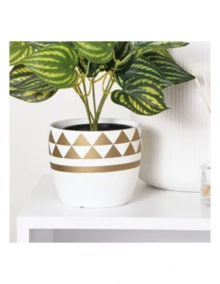 Glam Terracotta Pots Set Of 6 In Multi -Furniture Series Store 954992530 5 720x928