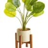 Artificial Taro Plant In Ceramic Pot 75cm In Green/White -Furniture Series Store 954993790 1 720x928
