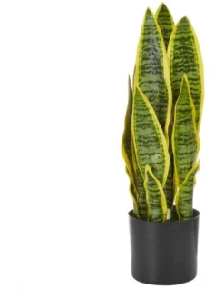 Artificial Mother-In-Law Tongue 45Cm