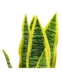 Artificial Mother-In-Law Tongue 45Cm 13 Artificial Mother-In-Law Tongue 45Cm -Furniture Series Store 955004500 5 720x928