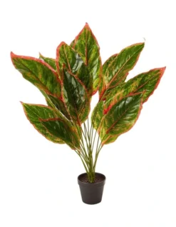 Faux Dieffenbachia With Colour Leaf 65cm In Green