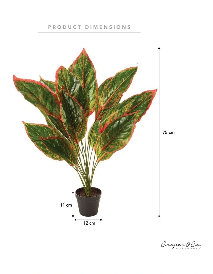 Faux Dieffenbachia With Colour Leaf 65cm In Green 5 Faux Dieffenbachia With Colour Leaf 65cm In Green - Image 3