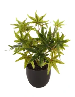 Tall Potted Artificial Maple Decor 24cm In Green