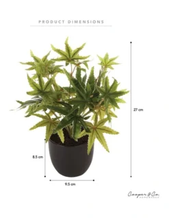 Tall Potted Artificial Maple Decor 24cm In Green -Furniture Series Store 955005940 3 720x928