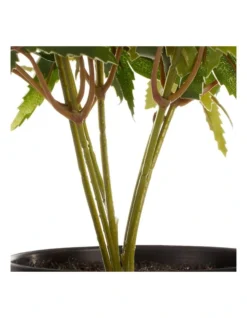 Tall Potted Artificial Maple Decor 24cm In Green -Furniture Series Store 955005940 5 720x928