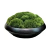 Artificial Moss Bowl Bonsai Arrangement -Furniture Series Store 955203130 1 720x928