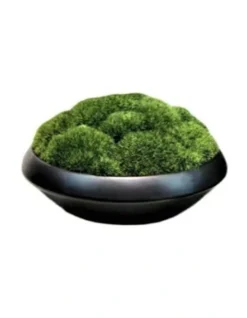 Artificial Moss Bowl Bonsai Arrangement
