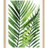 Profile Australian Made Kentia Palm Leaves Art Print A3 Natural Frame -Furniture Series Store 995232070 1 720x928